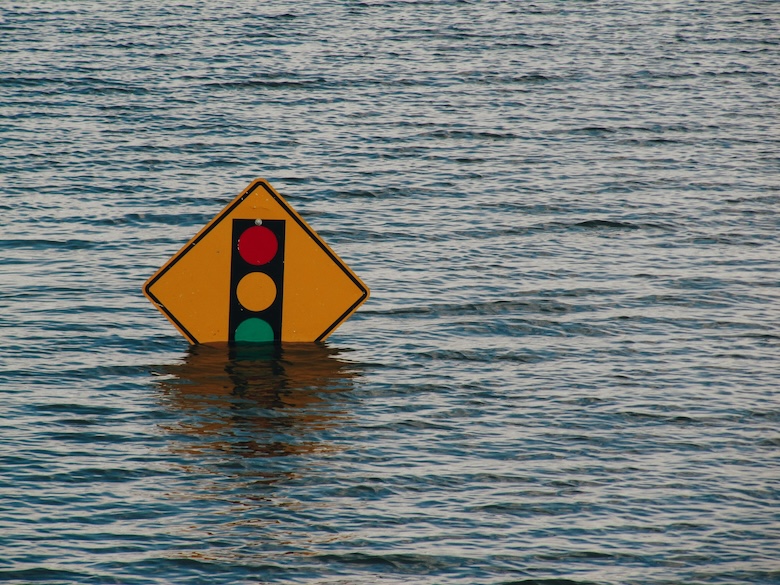 AI for Disaster Management